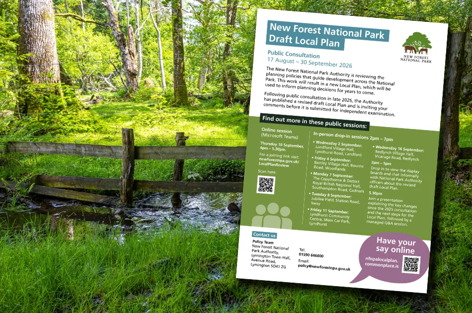 A draft local plan poster for New Forest National Park is displayed in front of a scenic forest stream with green grass, trees, and sunlight filtering through the leaves.